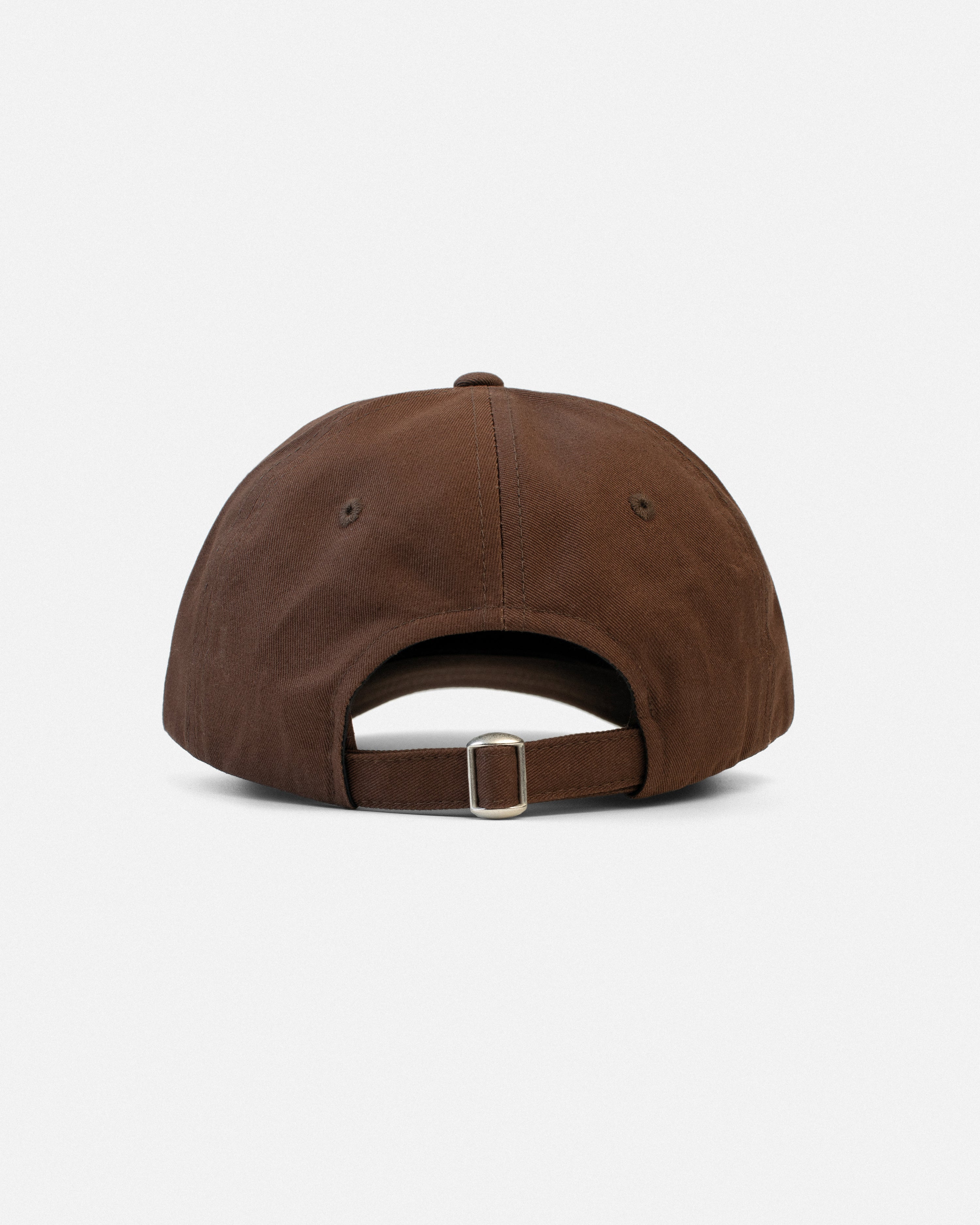 Nature Has Accomplished All Hat - Brown