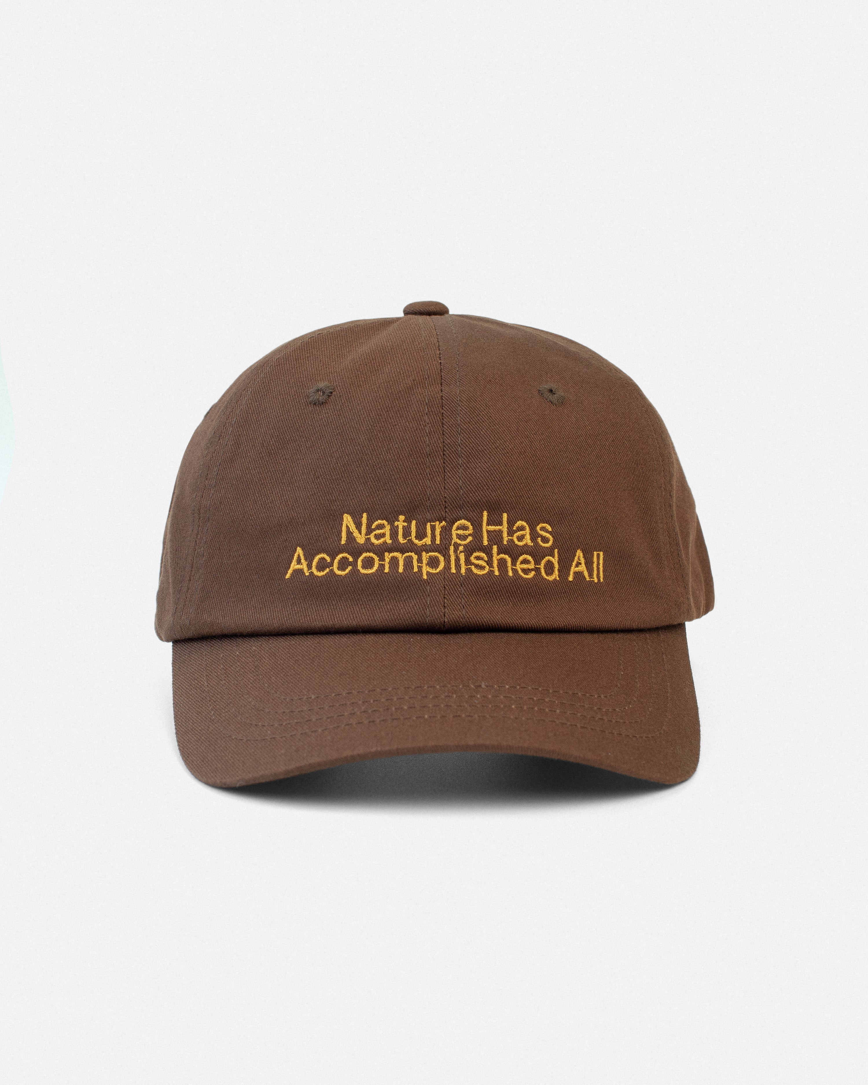 Nature Has Accomplished All Hat - Brown