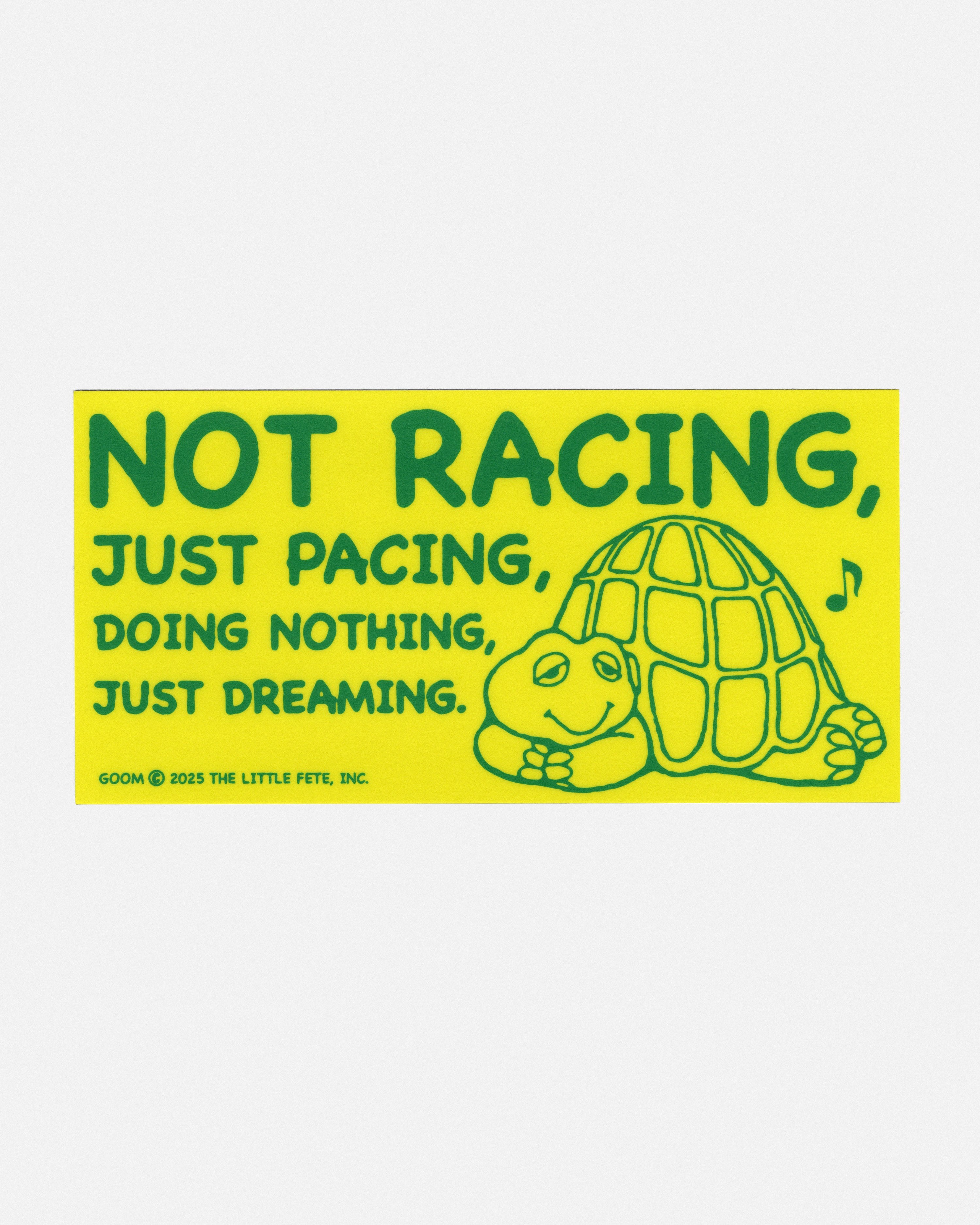 Not Racing Bumper Sticker