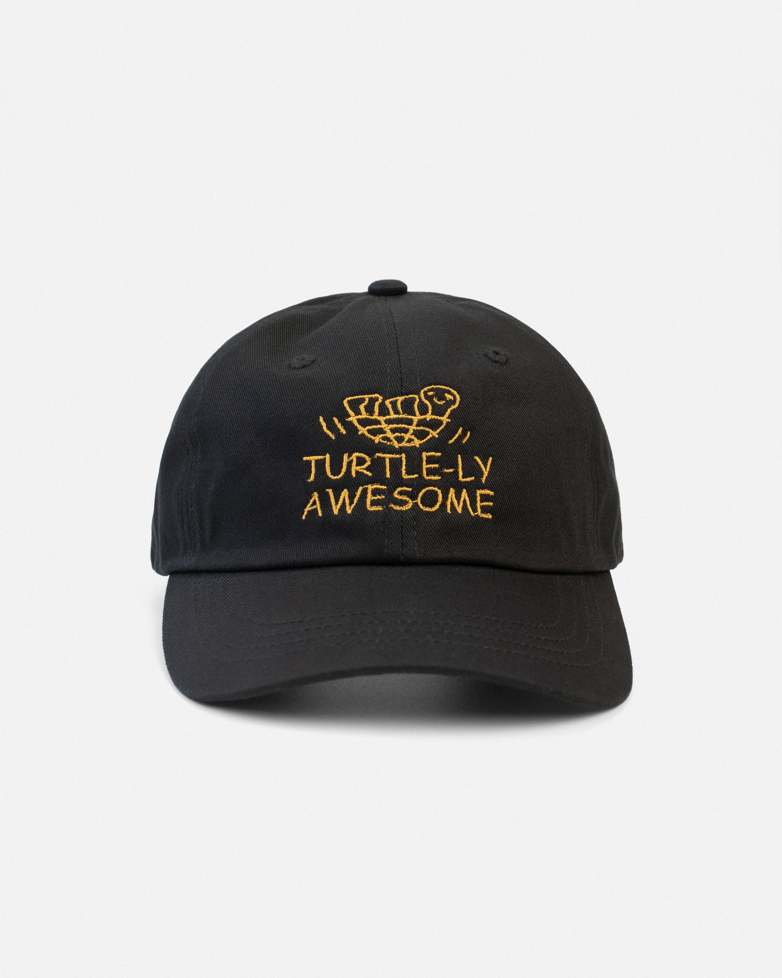 Turtle-ly Awesome ! Hat - Black