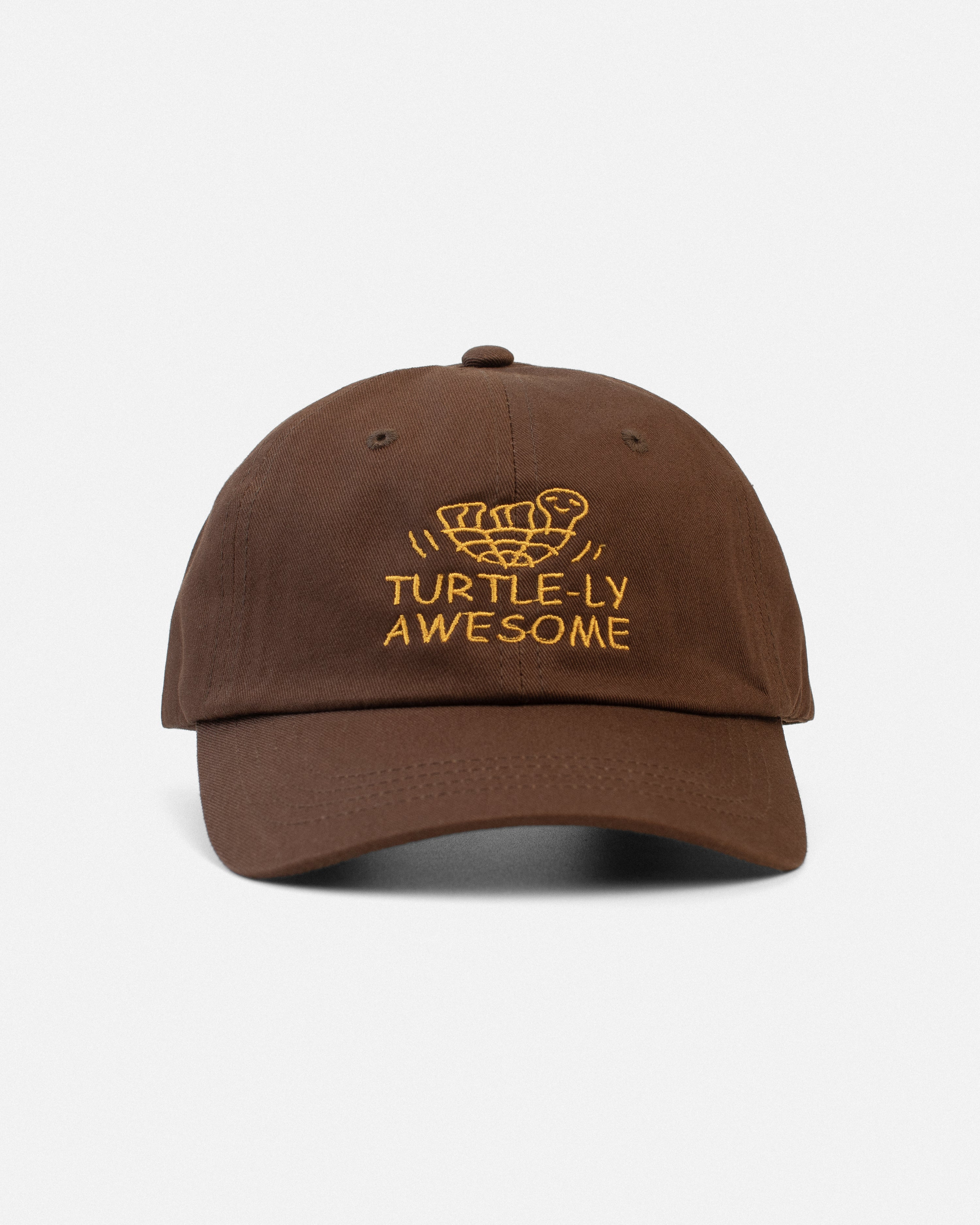 Turtle-ly Awesome ! Hat - Brown